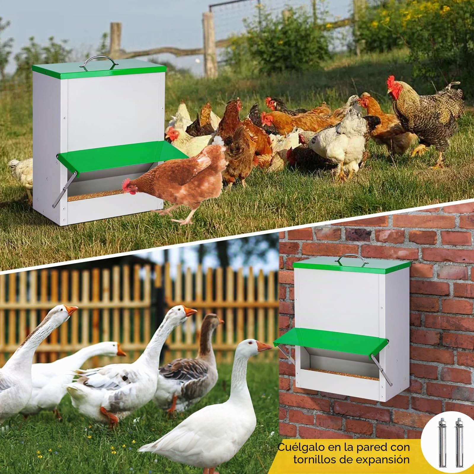 Comedero para Pollos, Alimentador Automático para Aves de Corral, 11KG Comida para Patos con Tapa Comedero para Aves de Corral a Prueba de Lluvia Apto para Pollos Patos Pavos