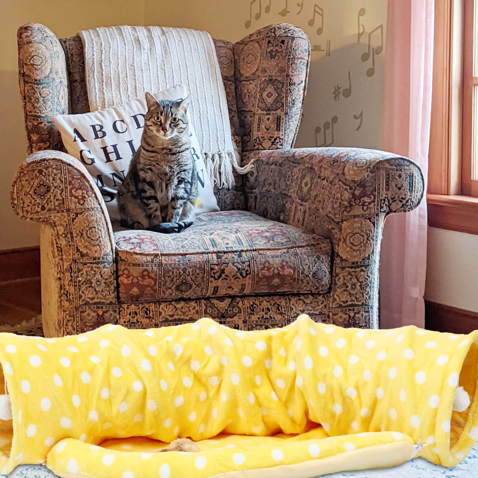 Tunnel pour Chat Pliable Jouet pour Chaton Nid pour Animal De Compagnie