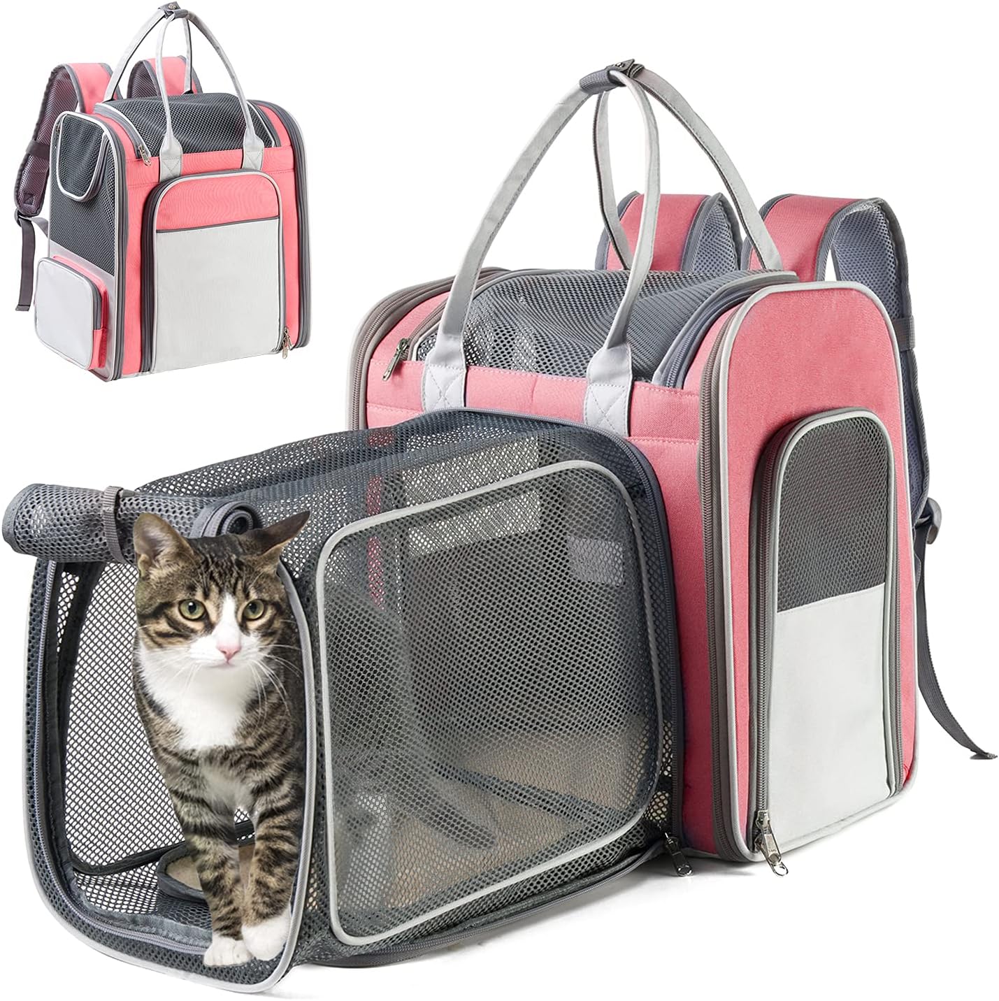 Hanjo Pets Cat Backpack Expandable - Pet Carrier Backpack Airline Approved - Mesh Expandable Cat Backpack Waterproof Breathable Expandable Dog Backpack Carrier for Small Dogs , Puppy, Cat up to 16lbs : Pet Supplies