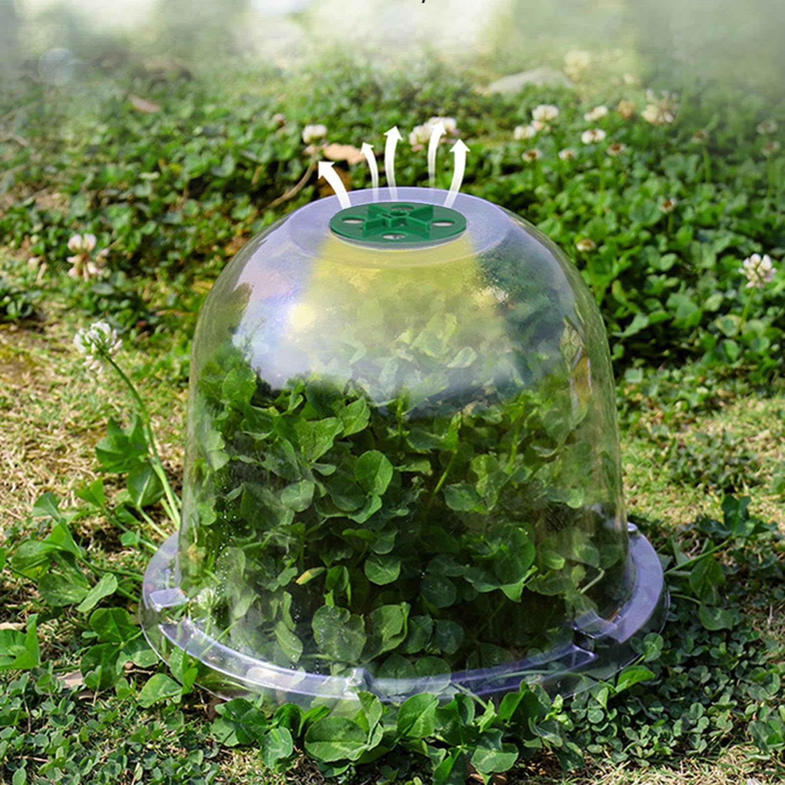 10 Pièces Cloche pour Pla-ntes De Jardin - Couvercle De Cloche De Dôme De Plan-Te, Plan-Te Succulentes Couvercle Jardin Cloche Dôme, Dômes D'humidité Réglables pour Plan-Te Serre