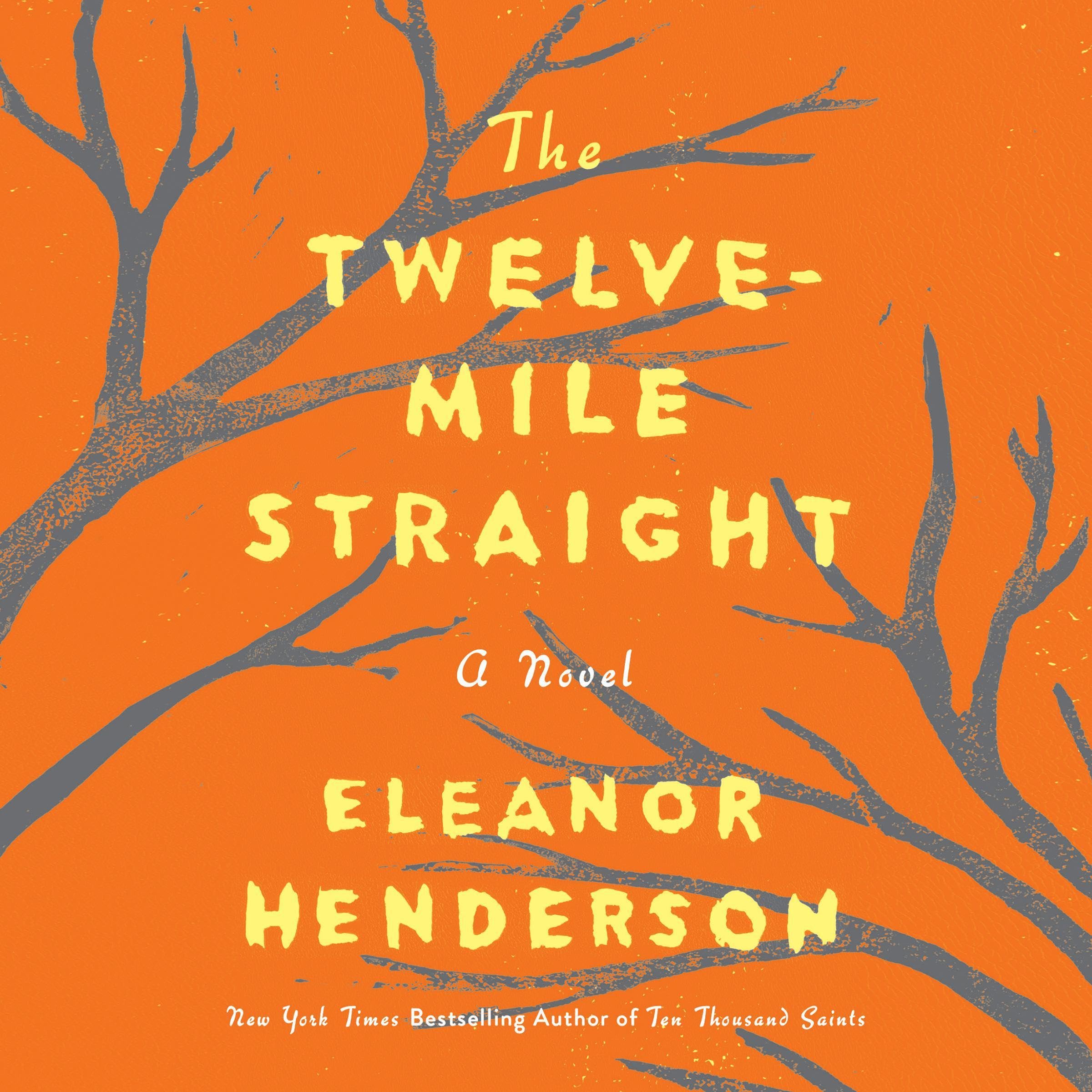 Cover art for The Twelve-Mile Straight