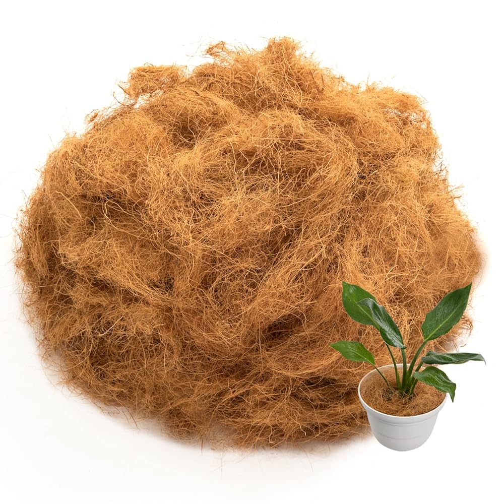 ラベニア ヤシ ファイバー鉢 お皿付き ラベニア ヤシ ファイバー鉢 お皿付き