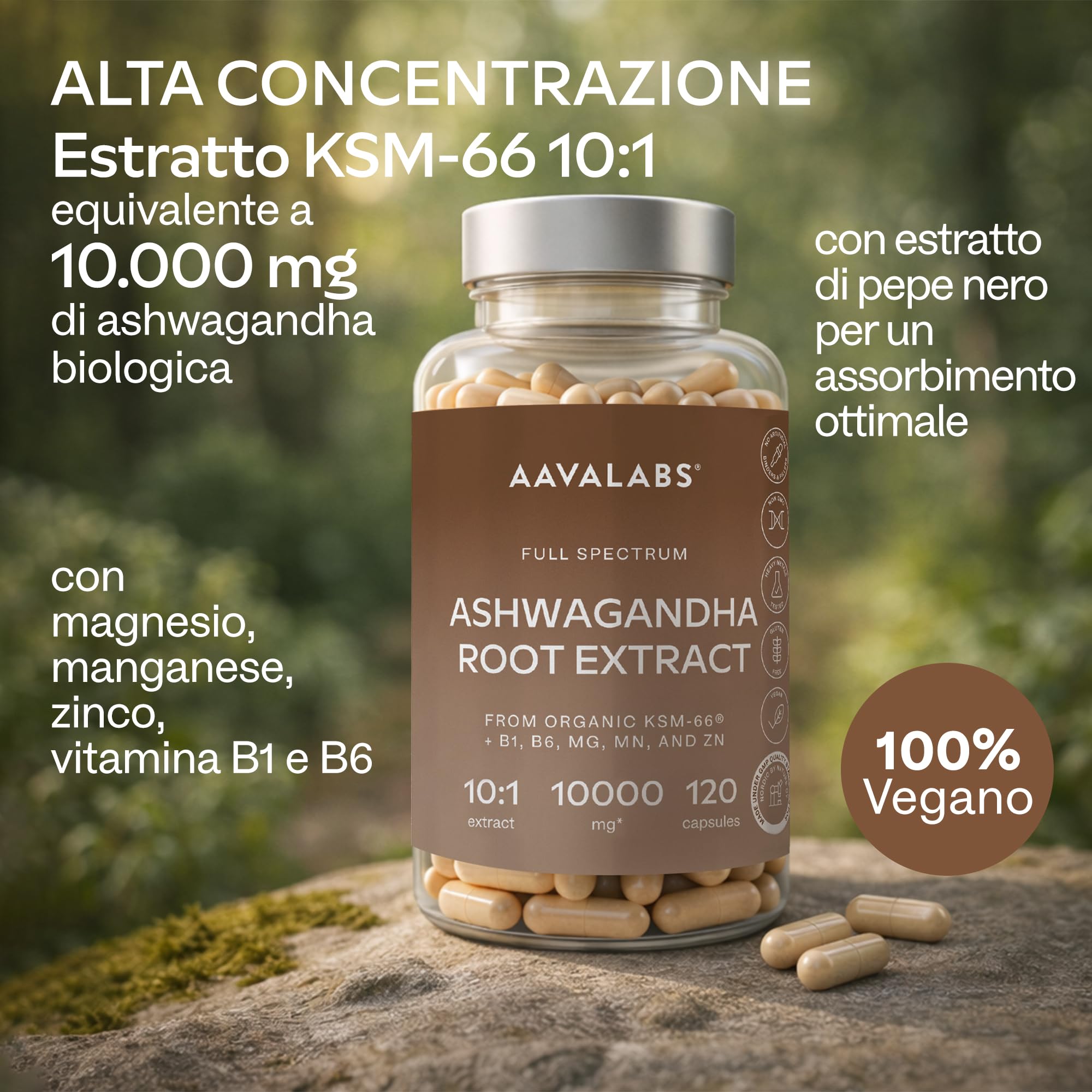 Ashwagandha KSM-66 10000mg Alto Dosaggio (Estratto di Ashwagandha Bio 10:1) Vitamina B6 B1 Zinco Magnesio Manganese, Vegan Ashwaganda Withania Somnifera Ginseng Indiano 5% Withanolidi - 120 Capsule