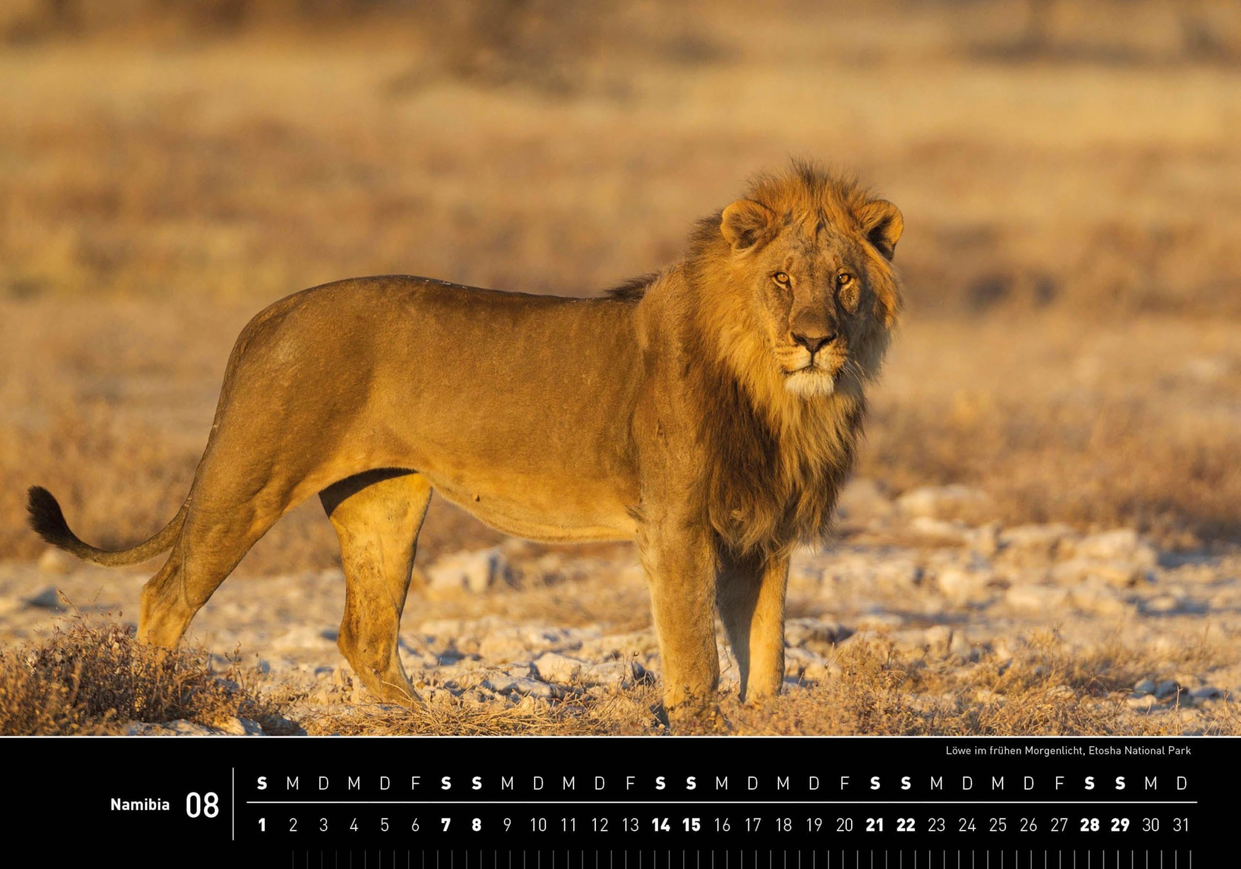 Namibia Premiumkalender 2027