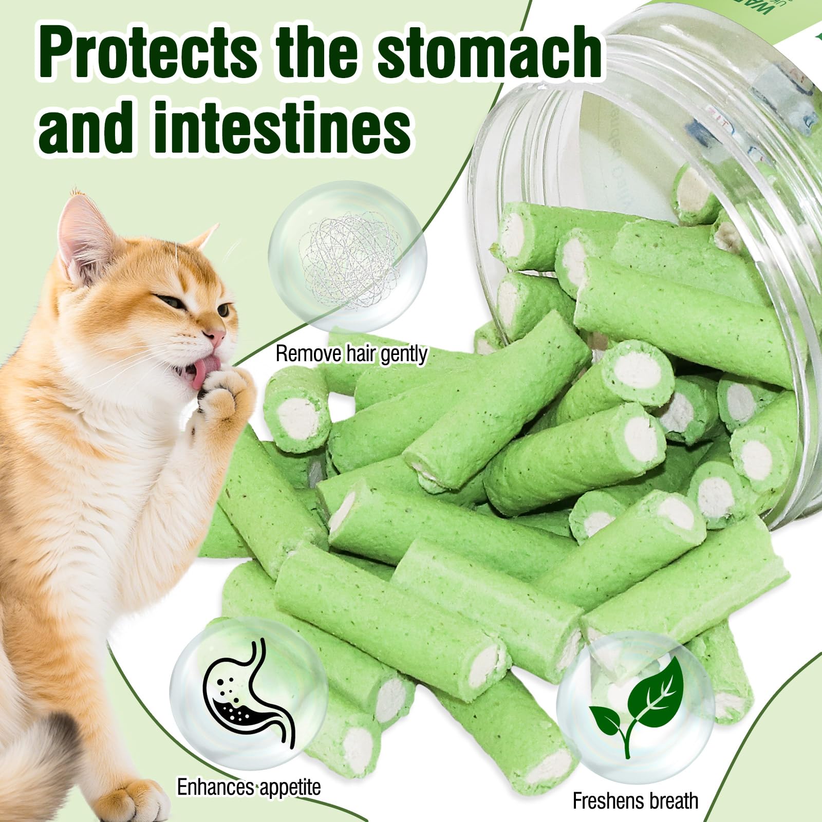 Katzengras Snacks und Gefriergetrocknete Katzenrationen für Zahnpflege, 100g Haarknäuel Entfernen