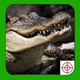 Crocodile Hunter 2014