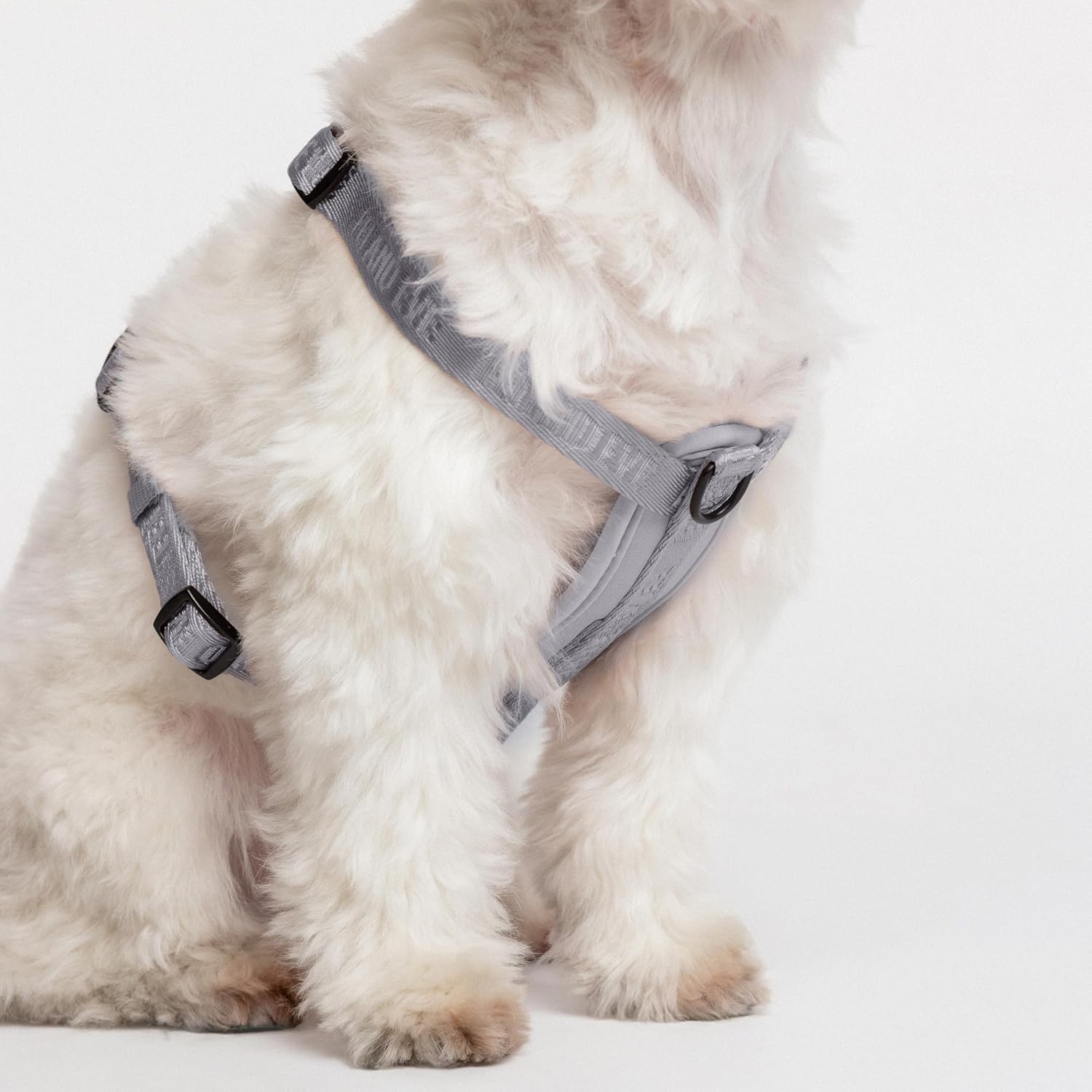 Fei & Eve Moxie H-Shape Dog Harness | Ultra-Lightweight | 3-Leash System for No-Pull Control | Easy On-Off | Adjustable 210D Breathable Nylon | Soft Padded Lining, Twilight Gray, S
