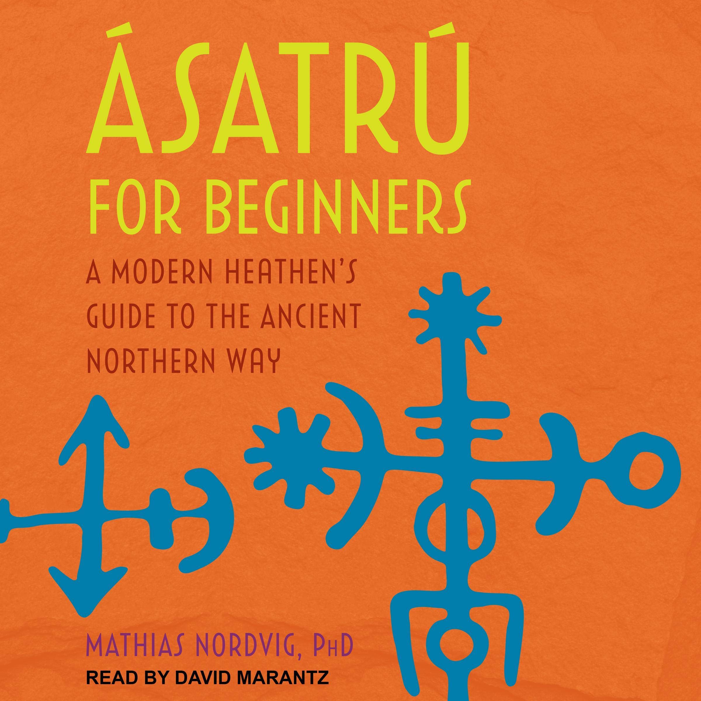 Cover art for &Aacute;satr&uacute; for Beginners