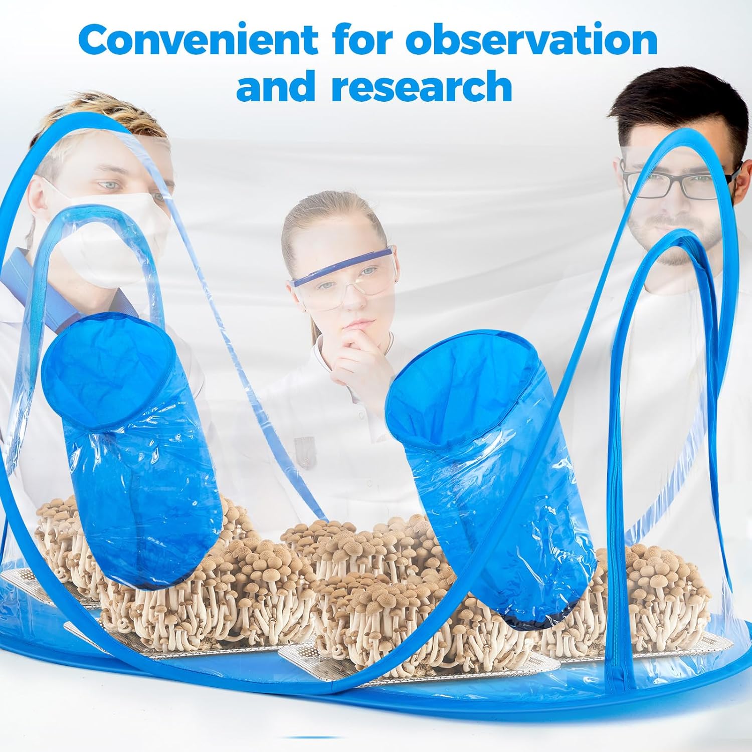 Juexica Large Still Air Box Mushroom Grow Tent 36 x 24 x 24 Inches Clean Air Workstation, Sturdy Flow Hood for Lab Mycology Supplies Grow Bags, Growers, and Home Scientists(Classic Style) - Image 6