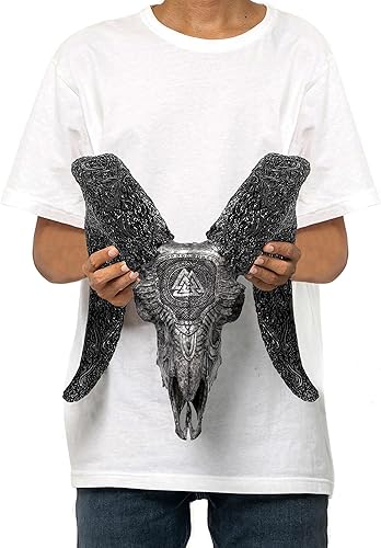 Vista 18 de Skull Bliss - Calavera de carnero de taxidermia auténtica tallada a mano con cuernos/decoración del hogar de cráneo de carnero genuino/decoraciones