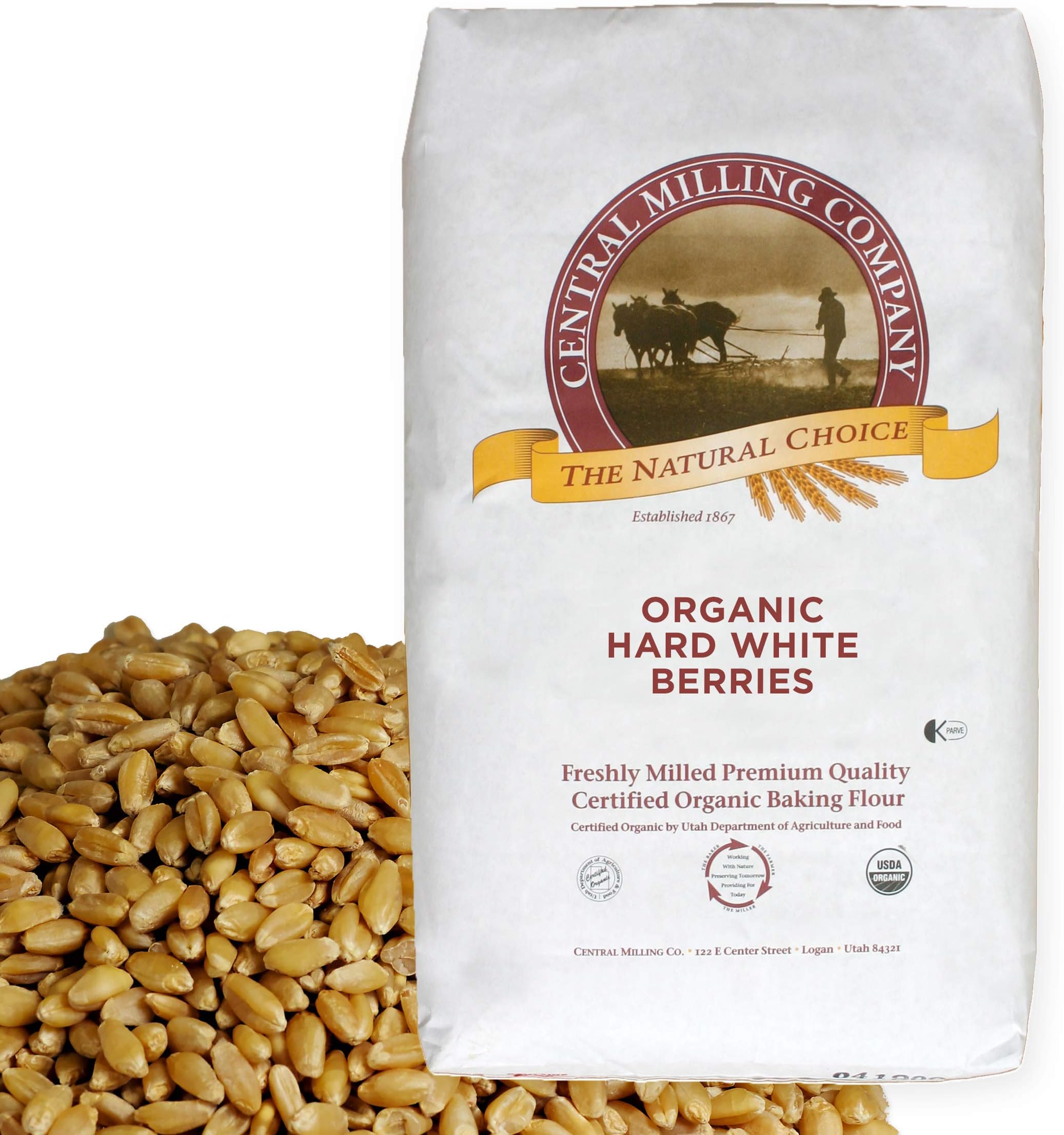 Montana Milling Hard Red Spring Wheat Berries 25 LBS