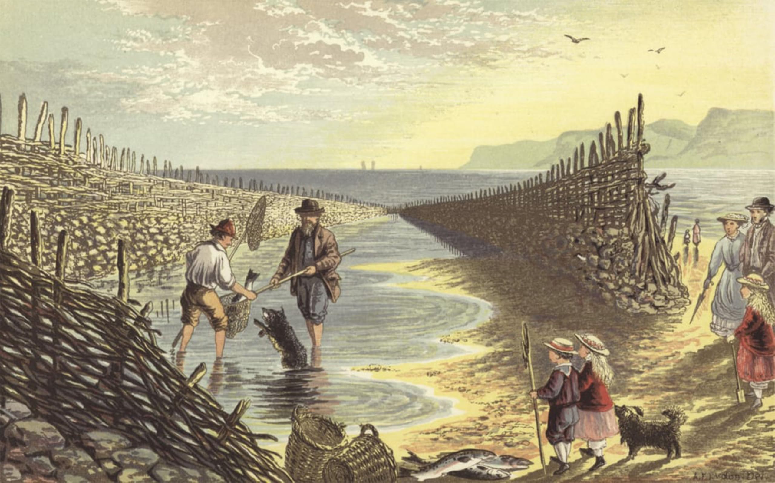 Toile Alexander Lydon Barrage de pêche impression 60x90cm - 5