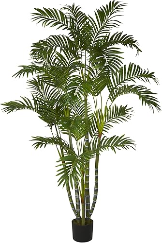 Areca árbol de la seda disponible en Yaxa Colombia