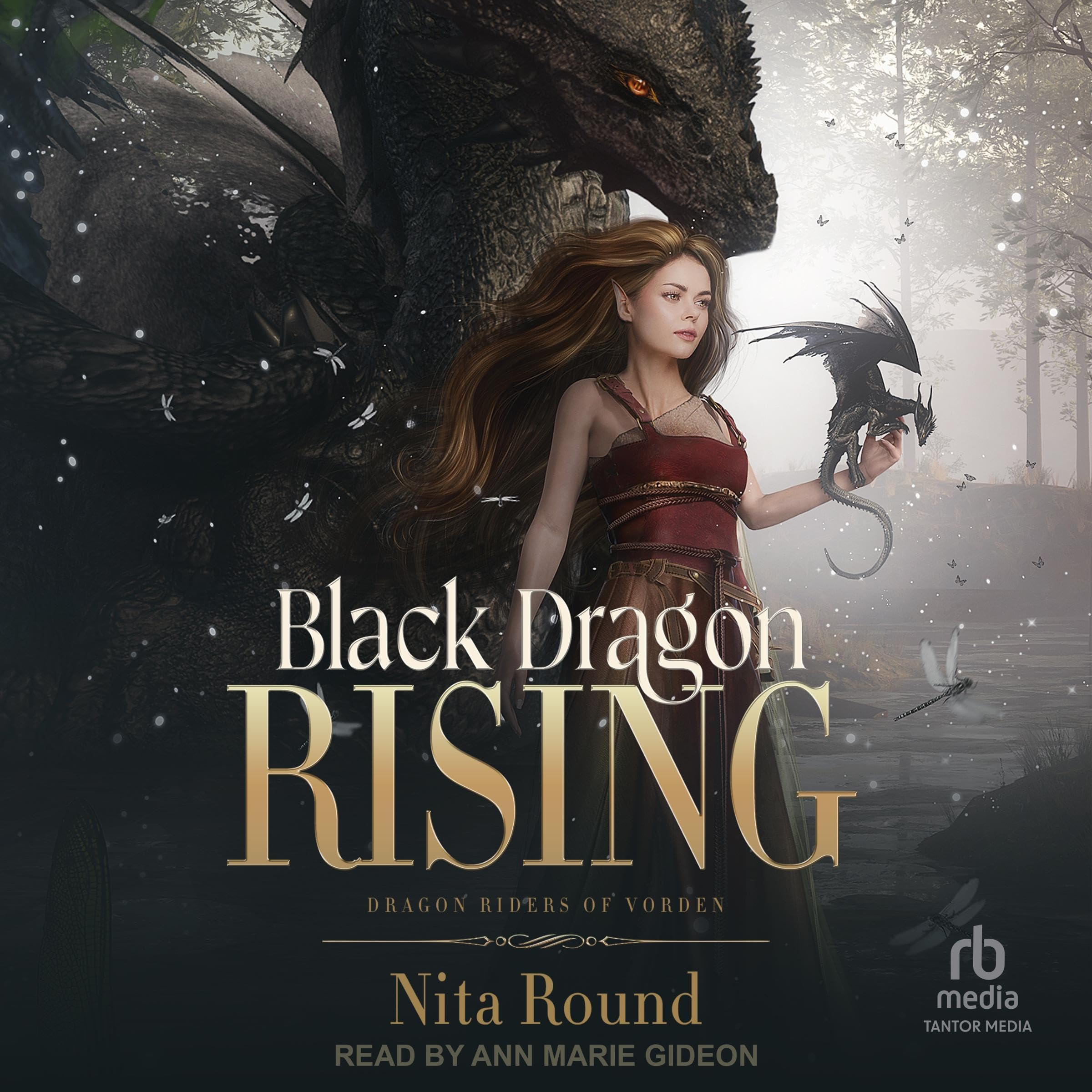 Cover art for Black Dragon Rising