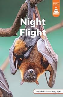 Night Flight (Stairway Decodables Nonfiction Step 5)