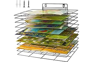 Wall-Mounted Art Drying Rack for Classrooms and Art Studios