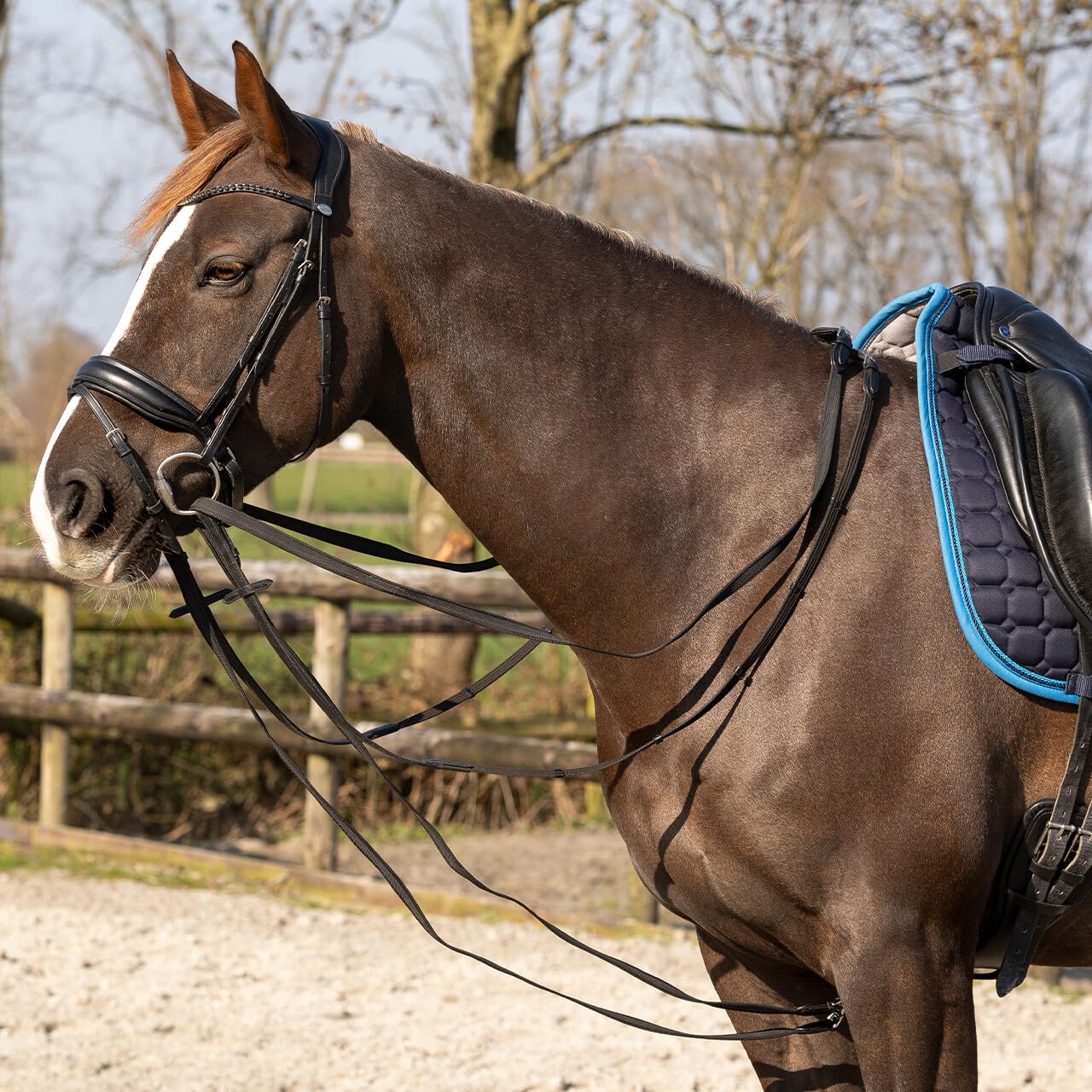 NETPROSHOP Schlaufzügel Basic mit Gummi durchwebt für mehr Griffigkeit schwarz Pony und Full, Groesse:Pony
