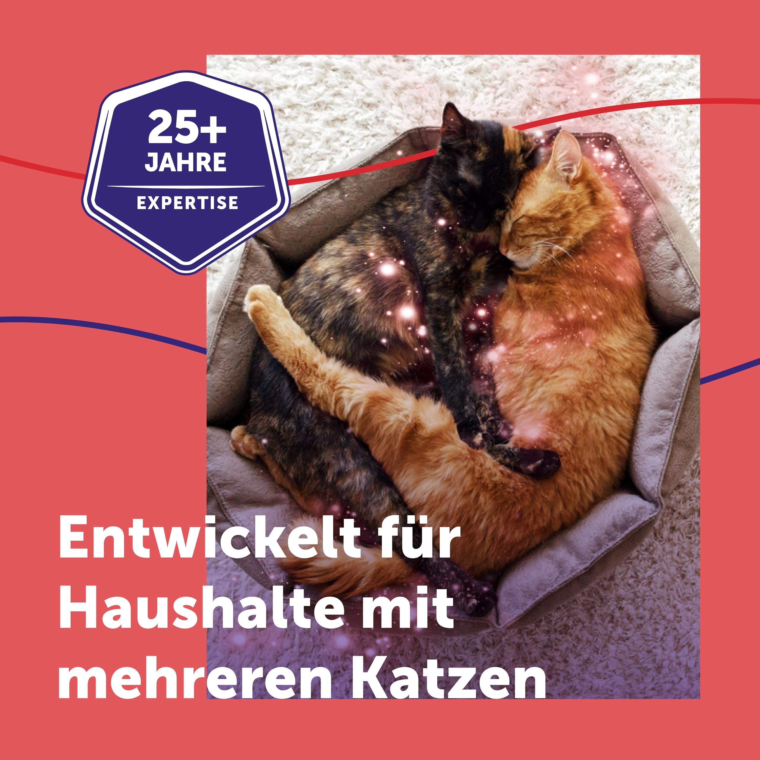 FELIWAY Friends 30 Tage Pheromon Verdampfer Start-Set, 48ml - Hilft Anzeichen von Stress bei Katzen und Kitten zu reduzieren, von Tierärzten empfohlen, klinisch getestet