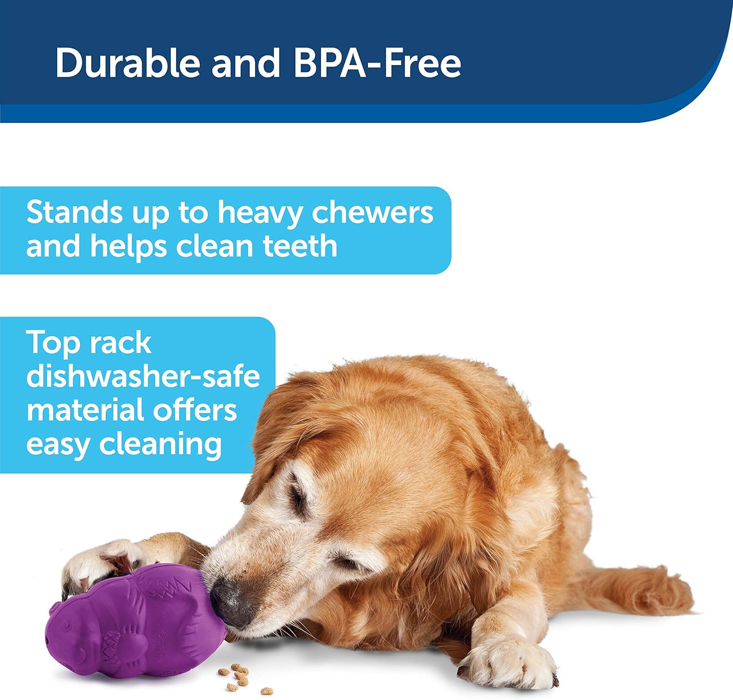 squirrel buddy dog toy