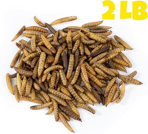 Miniatura 2 de Larvas secas de mosca soldado negro (2 libras)  Más calcio que gusanos de harina  Golosinas para pollos, aves silvestres y reptiles