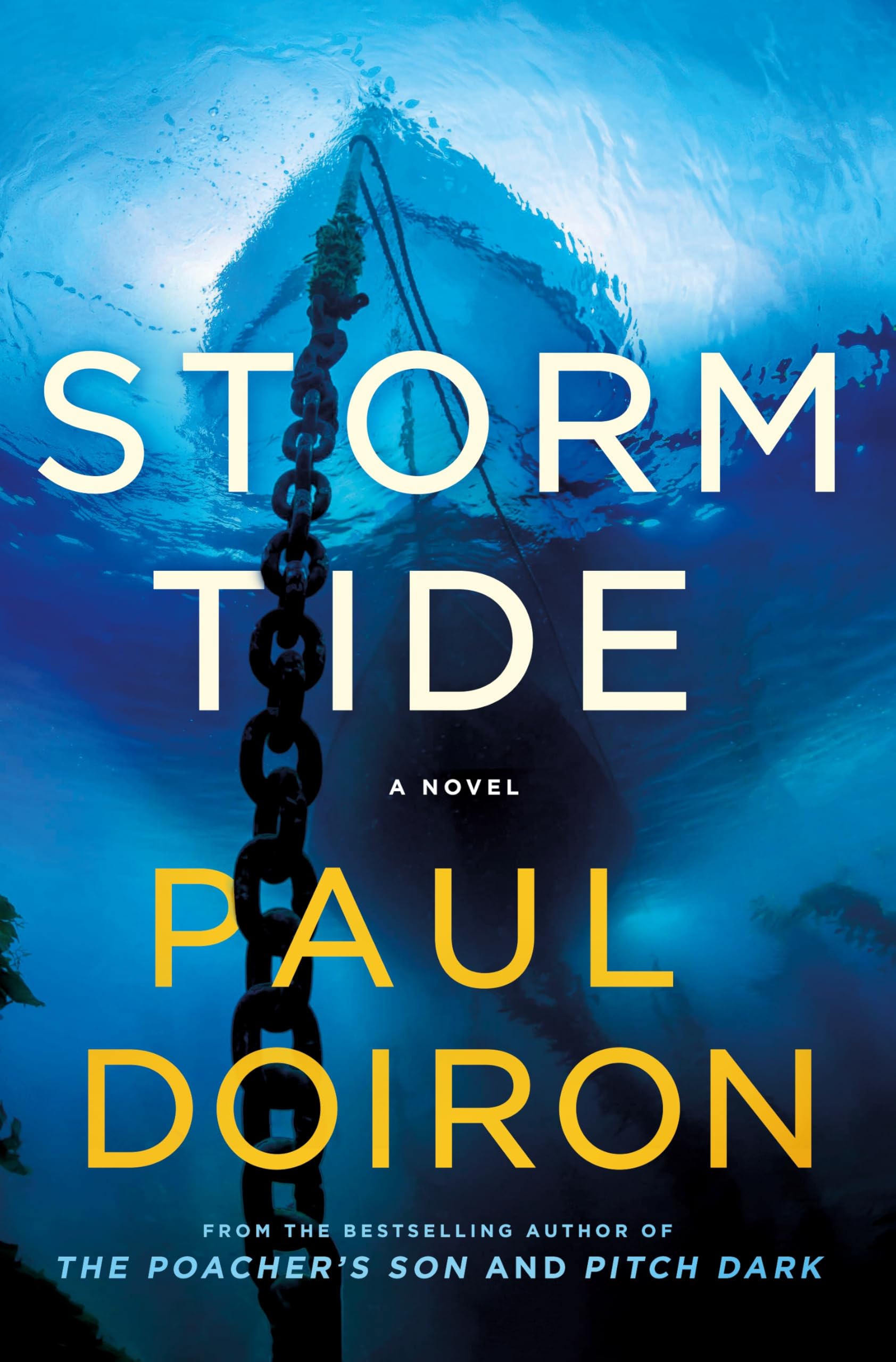 Storm Tide: 16 (Mike Bowditch Mysteries)