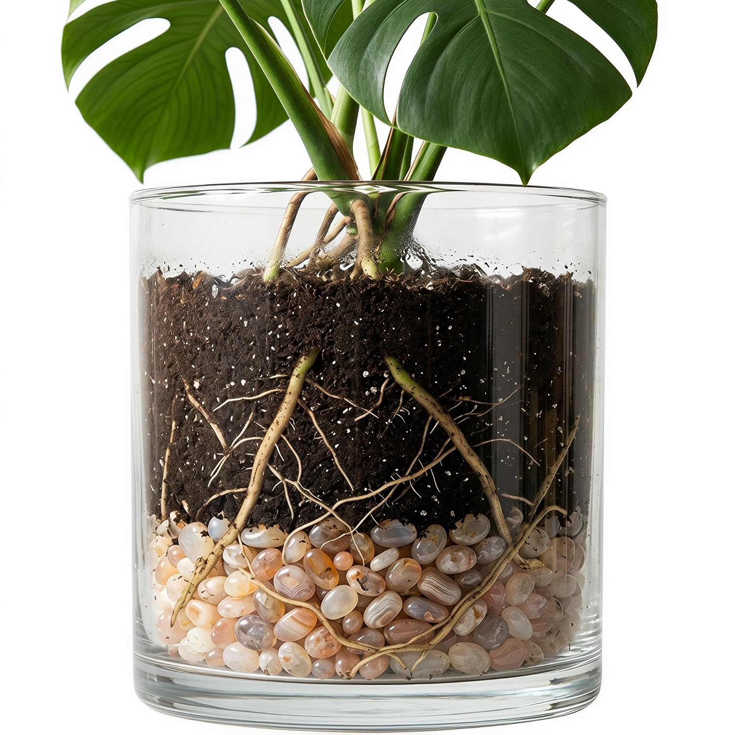 YARNOW River Rocks for Plants Indoor, 5-10mm Natural Polished Aquarium Gravel Landscaping Stones Pebbles for Flower Bed Fish Tank Potted Plants Vases 1.1 lbs