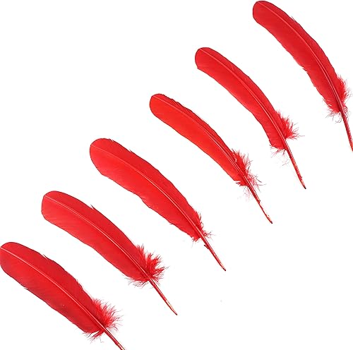 Miniatura 3 de Zucker - Plumas de pavo seleccionadas por libra - Plumas a granel para manualidades, decoración, decoración del hogar, decoración de vacaciones,