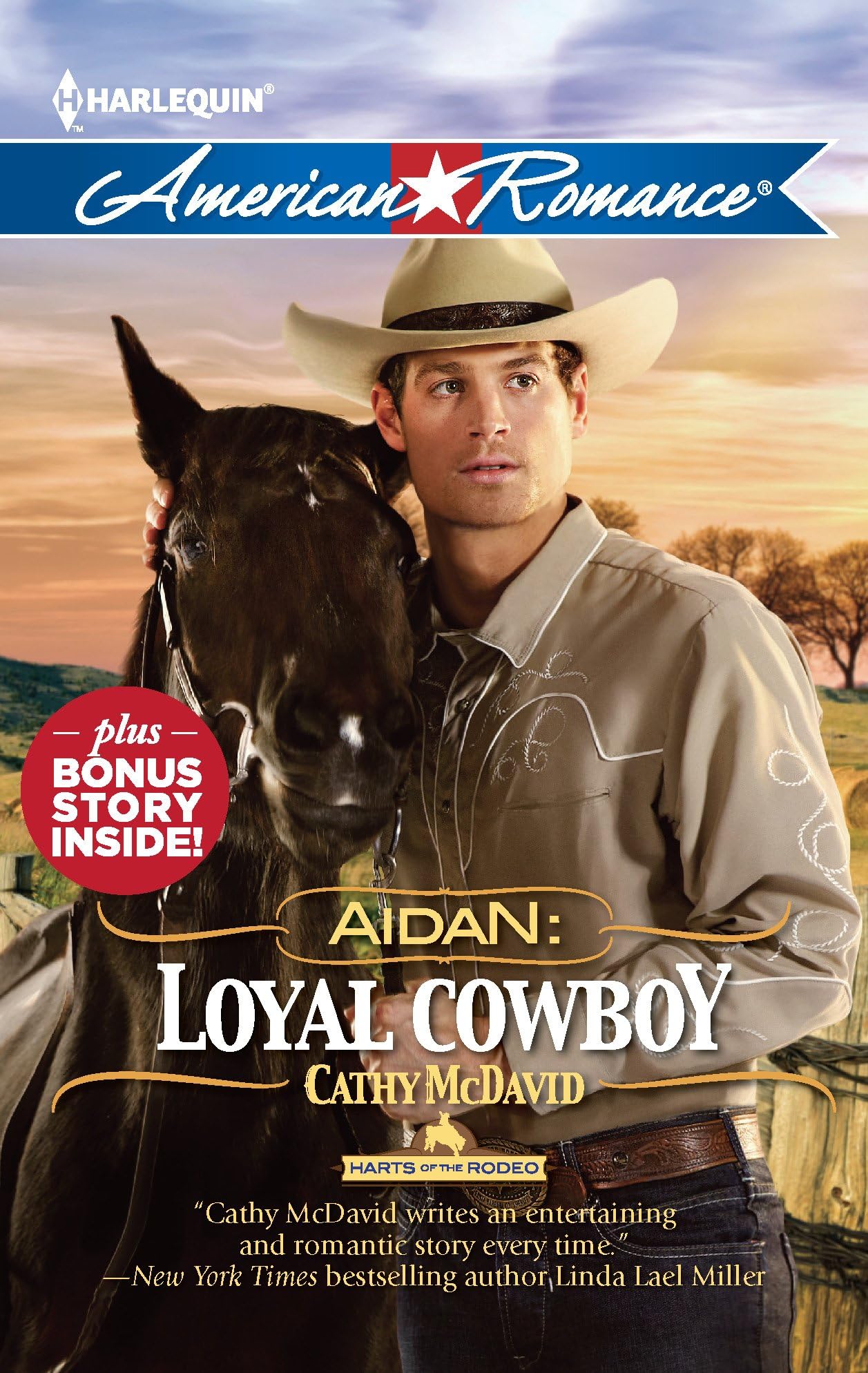Aidan: Loyal Cowboy: Aidan: Loyal CowboyThe Family Plan (Harlequin American Romance: Harts of the Rodeo)