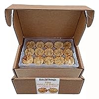 Vista 1 de Bits N Things - Conchas Mini Phyllo (Fillo), totalmente horneadas, 15 conchas por bandeja (3 bandejas)