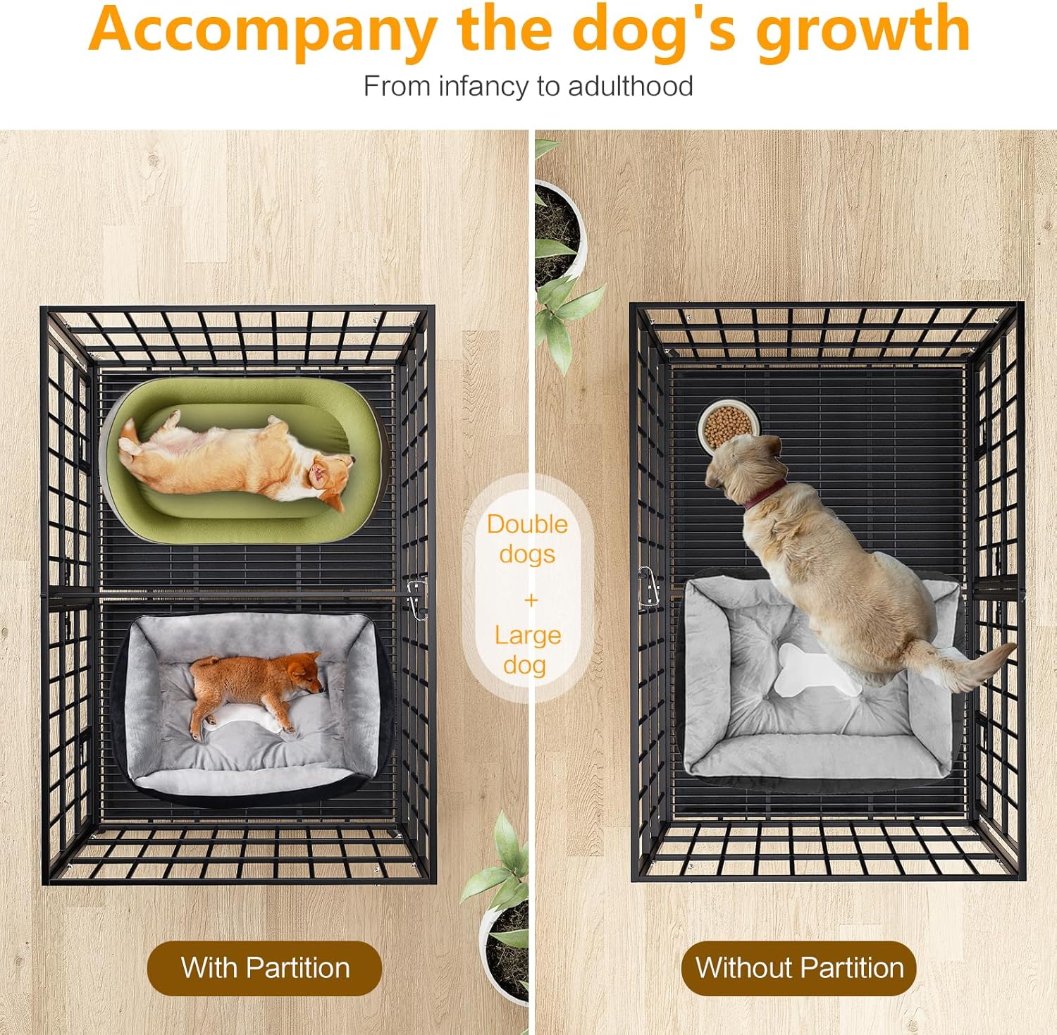 Ultimate Escape-Proof Dog Crate: Review of the 42 Inch Heavy Duty Metal Kennel