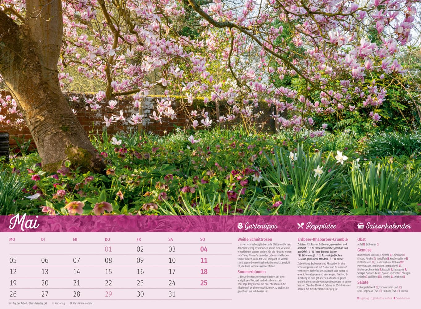 Landliebe Kalender 2025, Wandkalender im Querformat (45x33 cm) - Gartenkalender / Landleben mit Tipps zu Garten und Küche sowie Saisonkalender