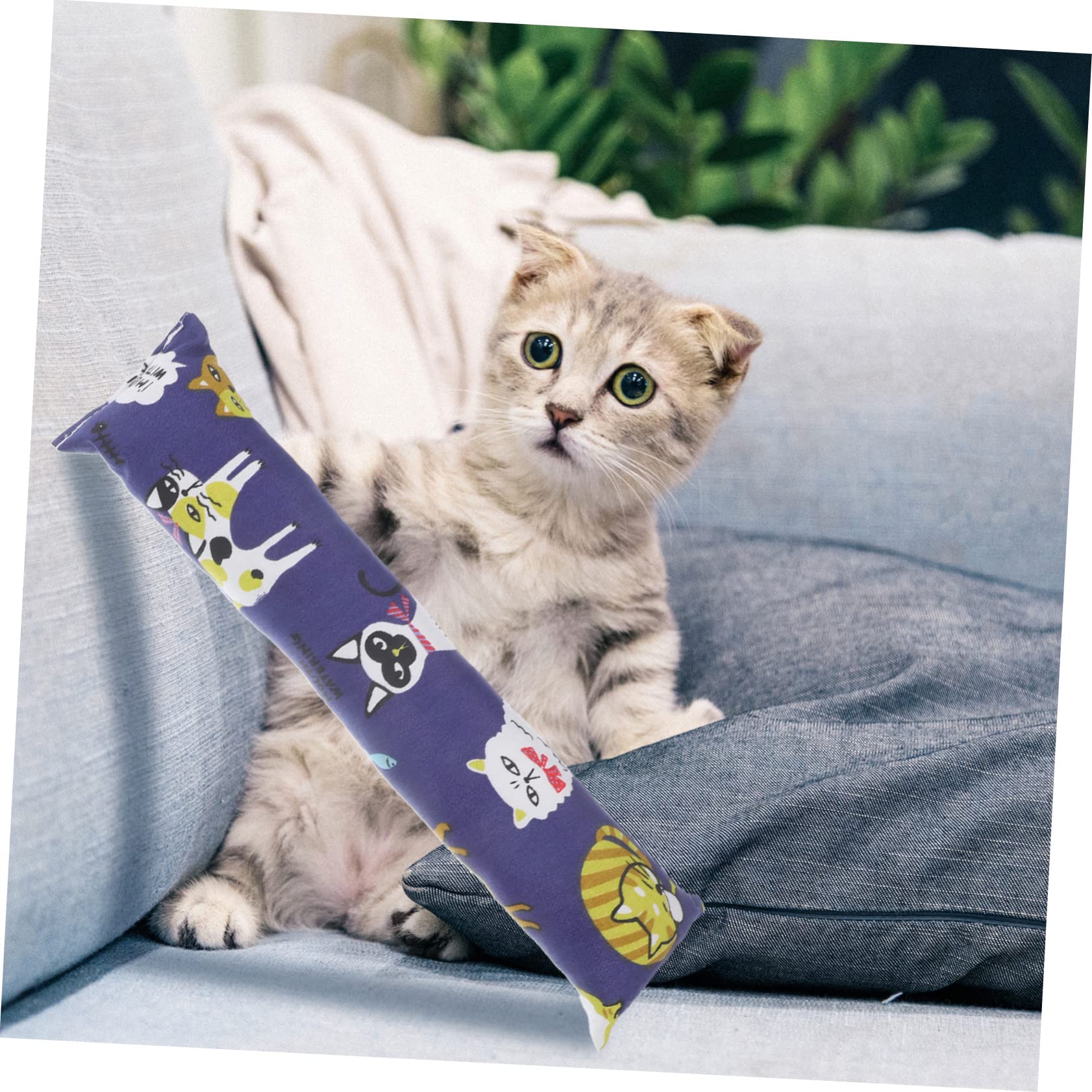 Happyyami 12pièces Jouets pour Chats avec Herbe à Chat Oreillers Interactifs pour Chaton Jouets à Mâcher pour Intérieur