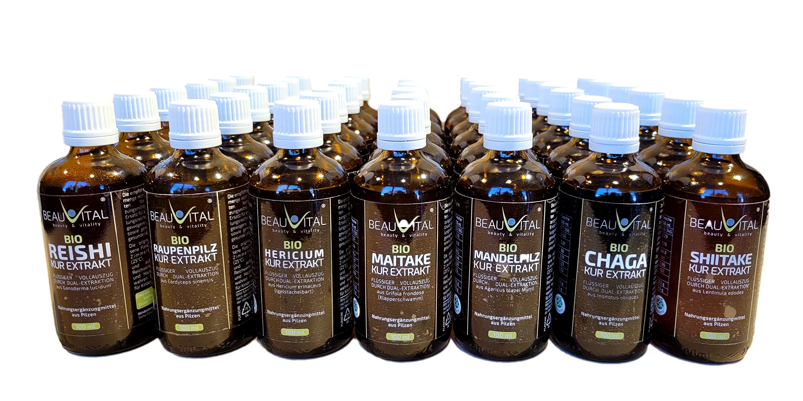 Bio Reishi Extrakt flüssig | Vollauszug Ganoderma aus Reishi Pulver durch Dualextraktion in Glyzerin, 100ml