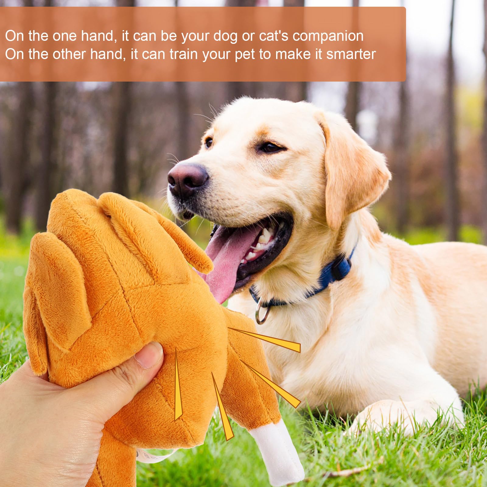SUPVOX 5piezas Juguete Interactivo para Perros Juguete De Morder y Olfatear Entrenamiento y Diversión Al Aire para Mascotas Material Seguro y Fácil De Limpiar