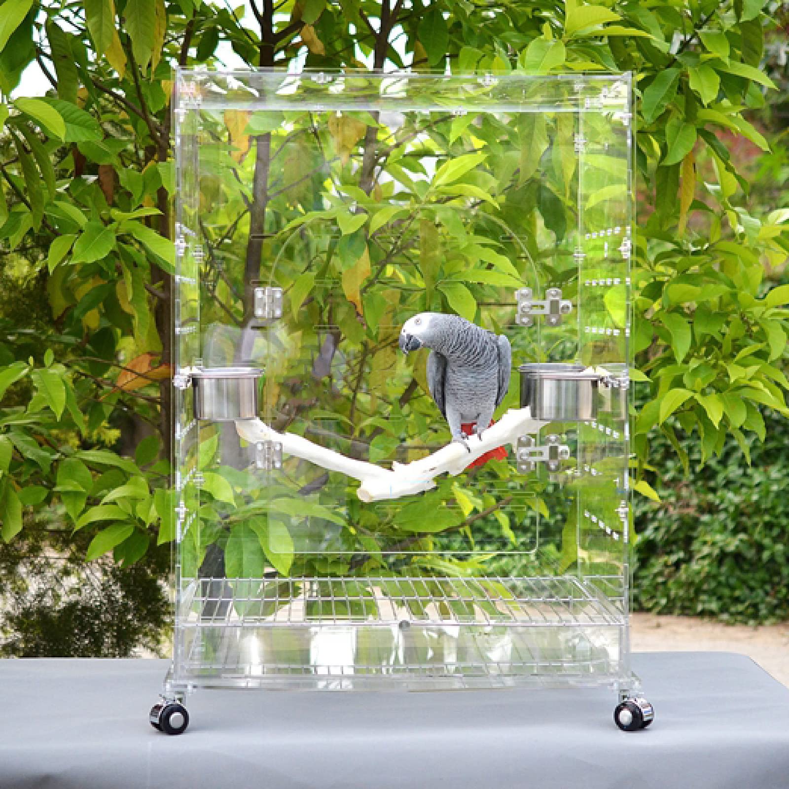 Amazon | 鳥かご 大型 透明 鳥小屋 バードケージ 鳥籠 大きい