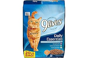 Exceptional Nutrition for a Content Cat: Nine Lives Cat Food Dry