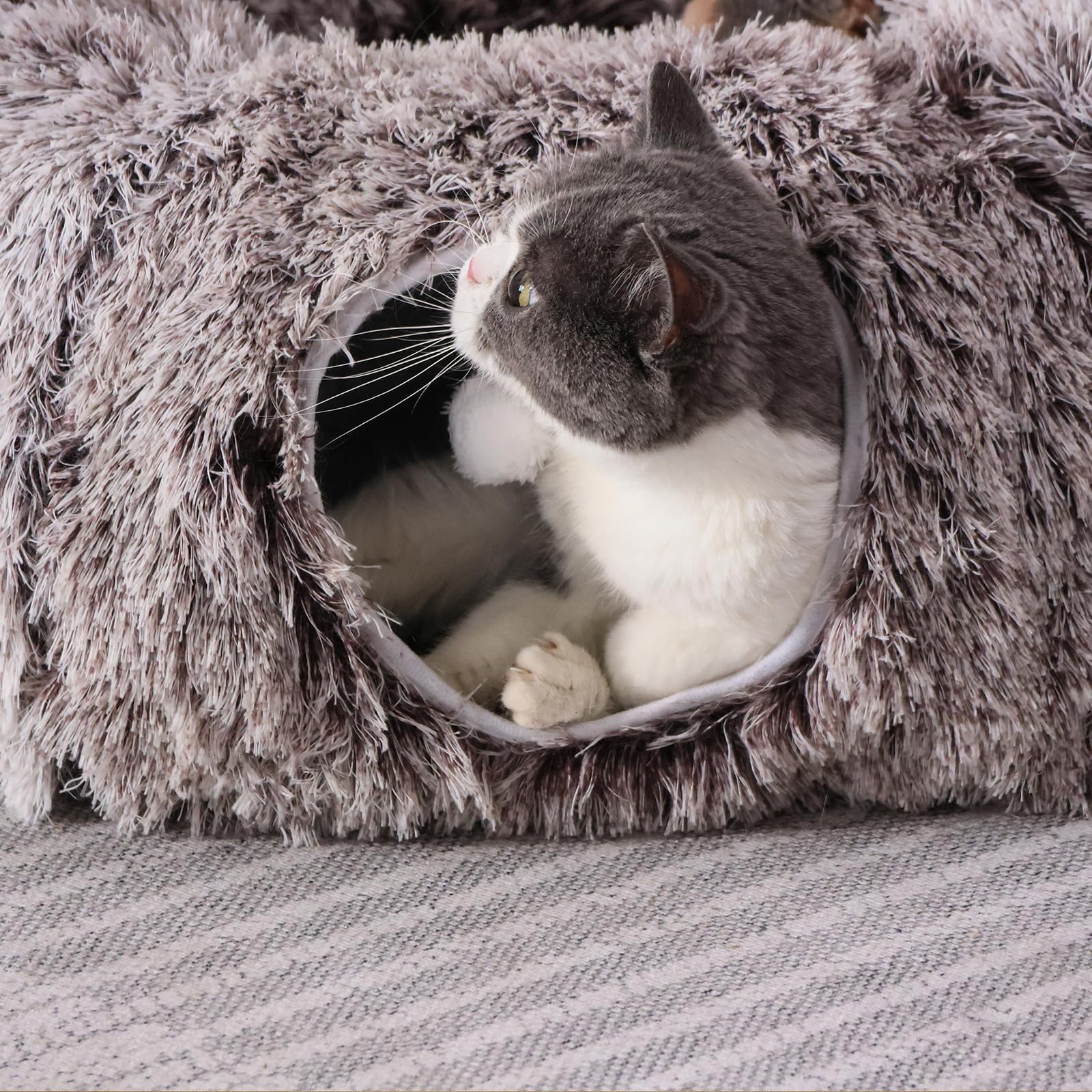 Cama Tipo túnel de Felpa para Gatos de Interior con cojín Suave, Cueva de Juego multiforma con Bolas Colgantes, túnel Grande y Plegable para Mascotas pequeñas y Grandes (marrón)