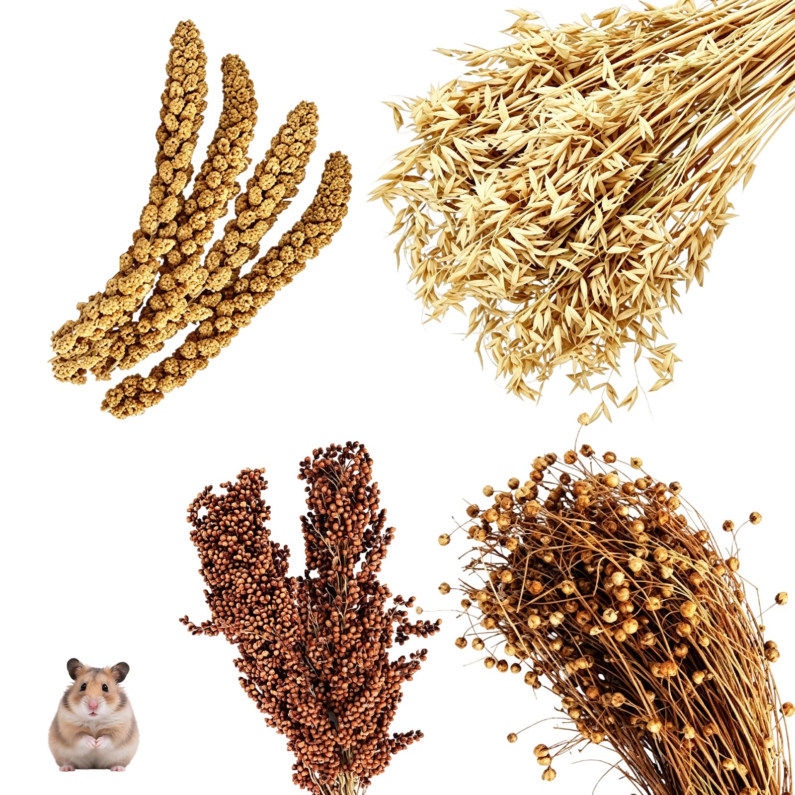 17 PCS Natural Habitat Decor for Small Pets, Contains 4 Yellow Corn Ears, 50g Flaxseed Ear, 2 Red Sorghum Ears, and 10 Oat ears, Hamster Habitat Decoration, Can Grind Teeth, 20-30 cm Size Rang