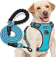 tobeDRI No Pull Dog Harness for Medium Large Dogs - Adjustable Reflective Vest with Free 5ft Heavy Duty Leash