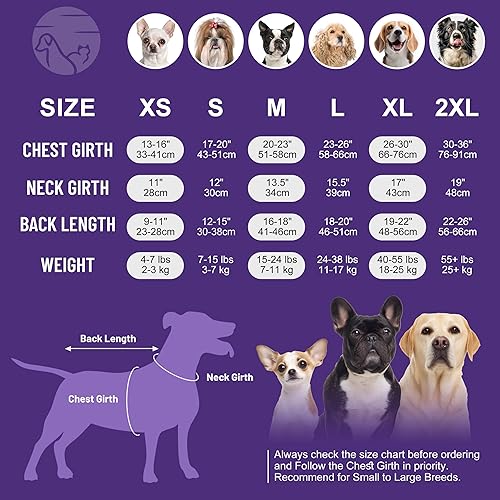 Miniatura 4 de cyeollo Traje de recuperación de cirugía para perros, gatos, suave, transpirable, para después de la esterilización, esterilizador, antilameduras