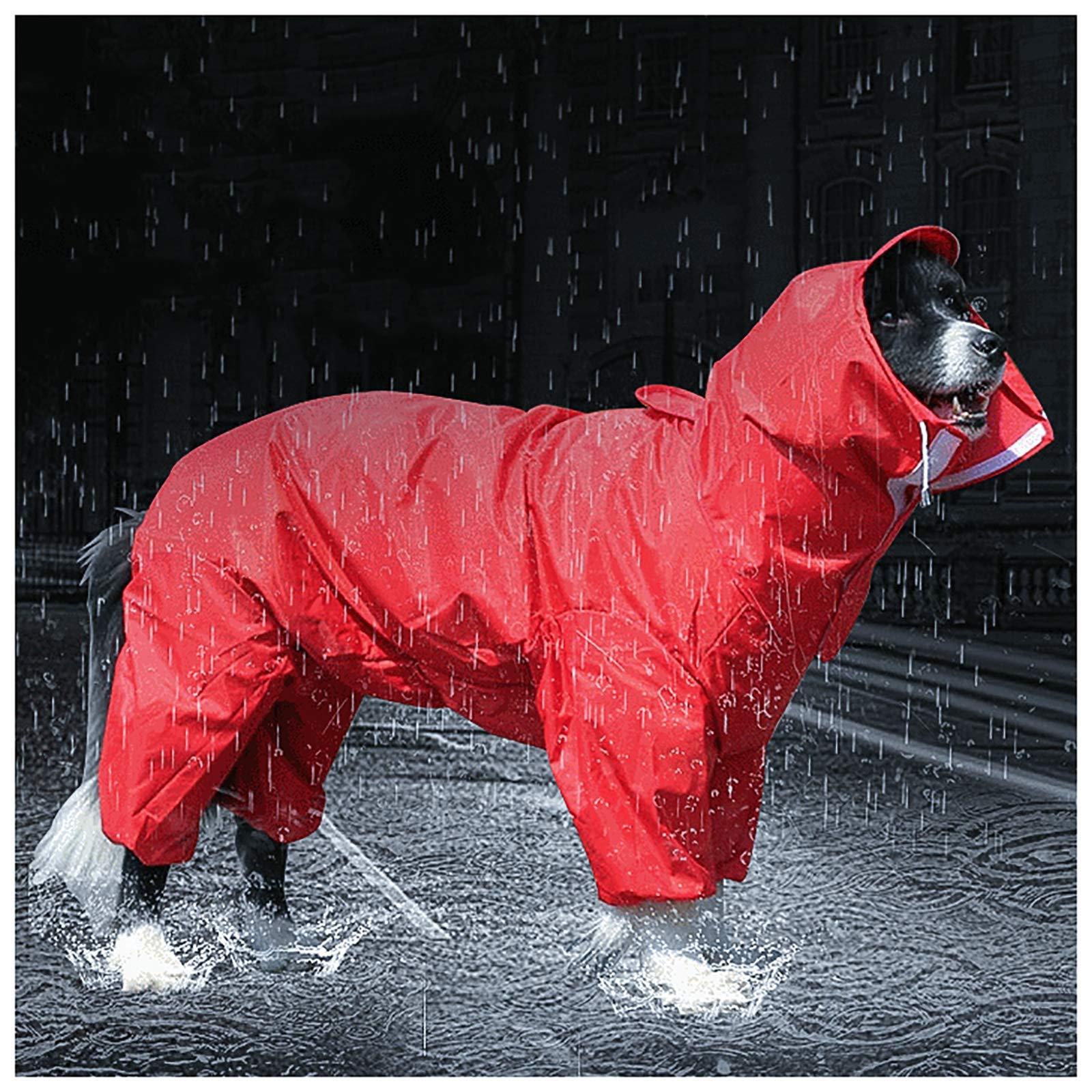 Imperméable à capuche pour chien veste pluie réfléchissante rouge 28