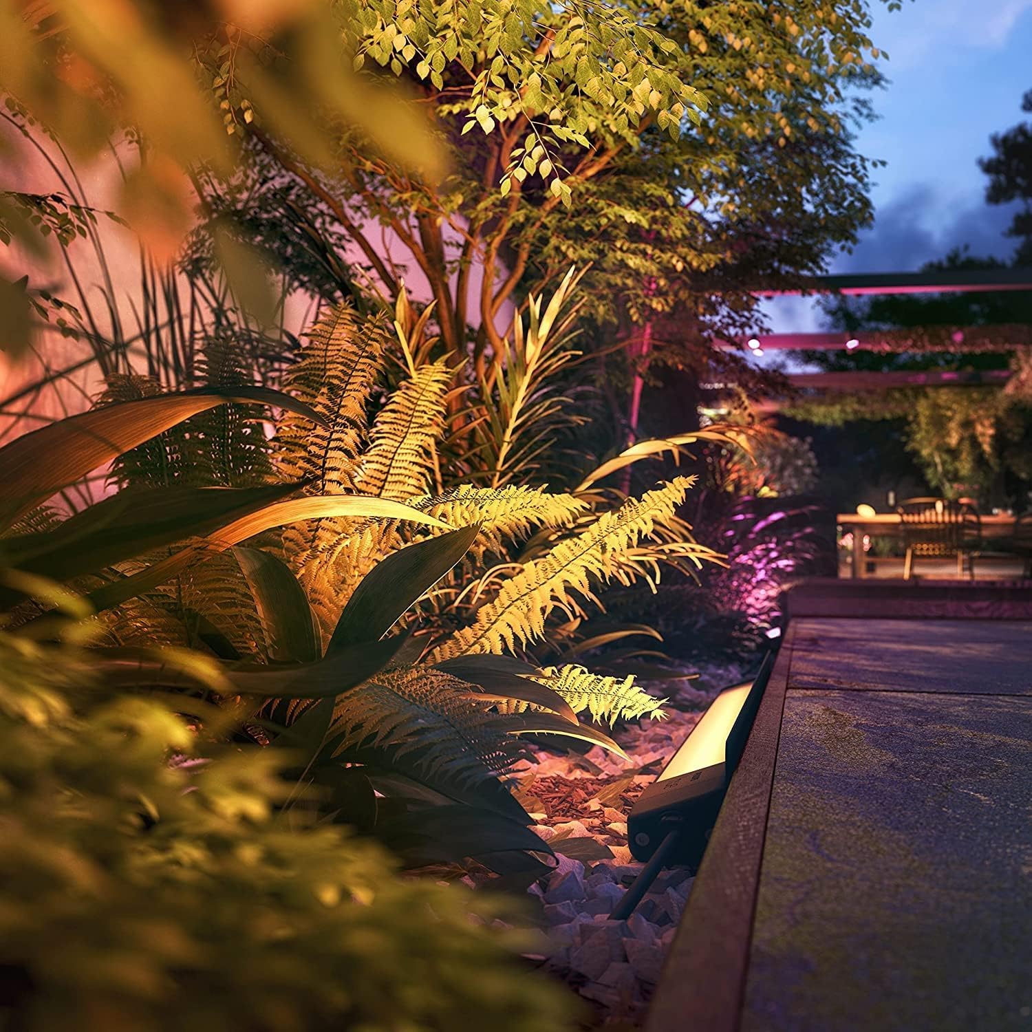 Philips Hue White & Color Ambiance Amarant Wandfluter (1.420 lm), dimmbare Gartenleuchte für das Hue Lichtsystem mit 16 Mio. Farben, smarte Lichtsteuerung über Sprache oder App, schwarz