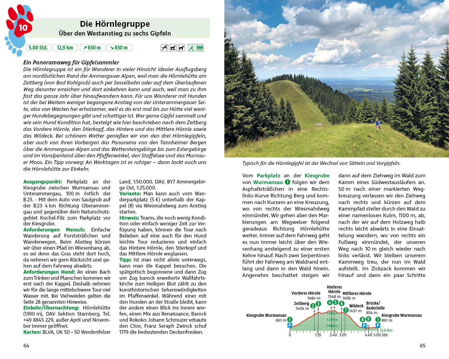 Wandern mit Hund Bayerische Alpen: mit Alpenvorland. 46 Vierbeiner-Touren mit GPS-Tracks (Rother Wanderbuch)