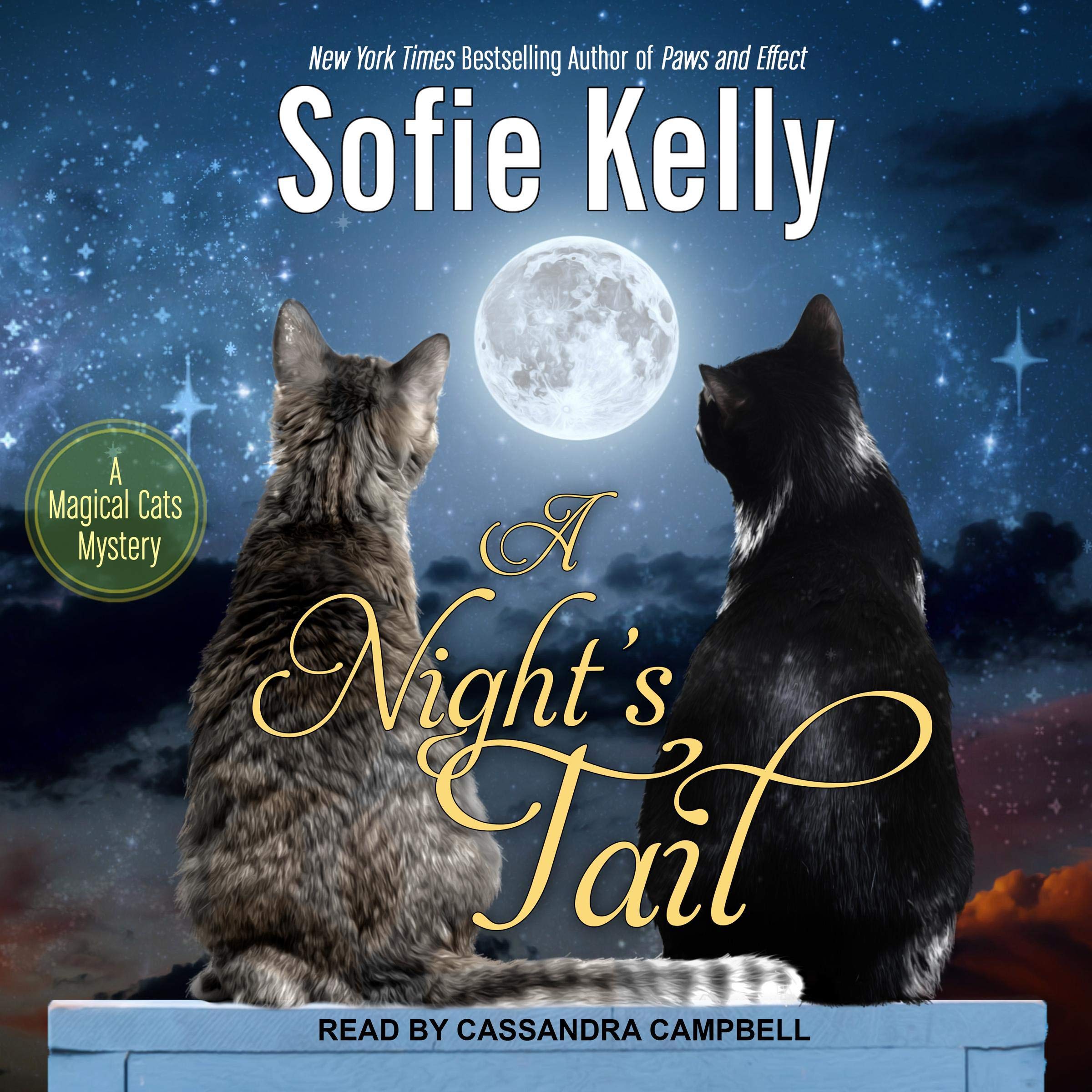 Cover art for A Night’s Tail