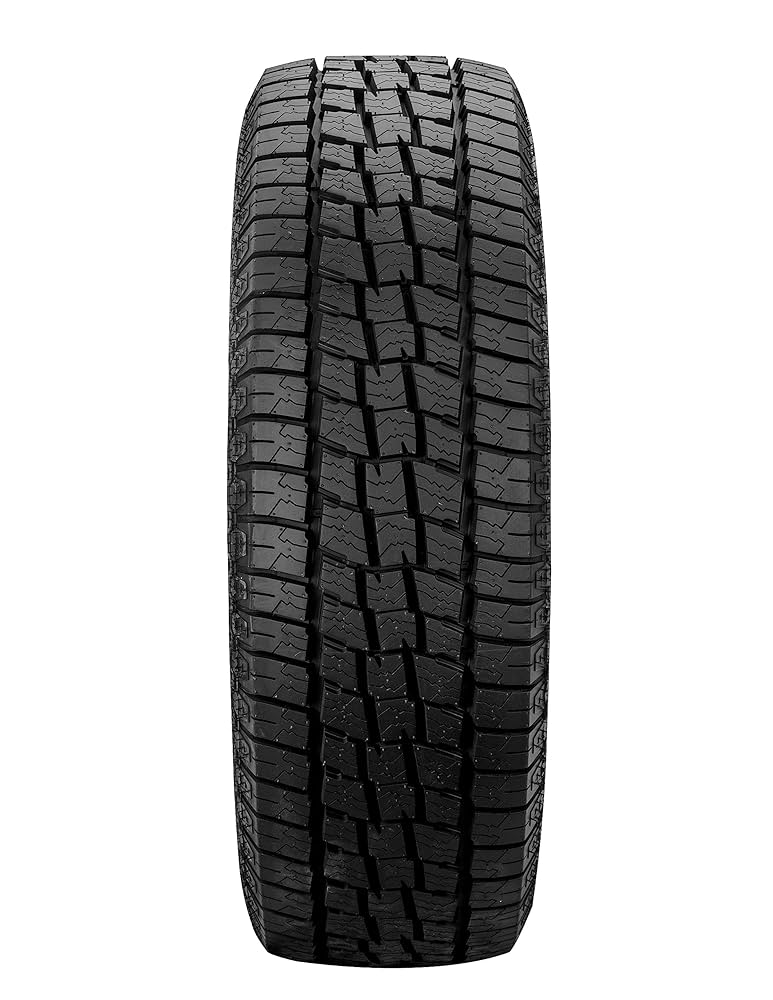 ライオン s-l400.jpg