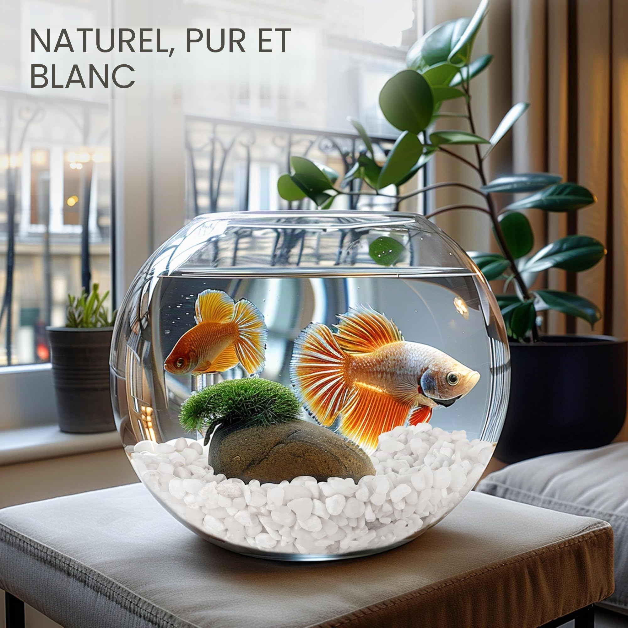 BELLE VOUS Petit Gravier Aquarium - Sac de 3,6 kg de Cailloux Decoratif Naturel pour Vase Plante en Pot - Galet Blanc Jardin Exterieur et Interieur - Pierre Galets Decoratif