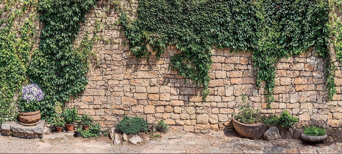 Sabrikas Let Your Creative Spirit Run Free Neutral Tones Rustic Ivy Stone Wall Garden Mural, Tapestry & Curtain Waterproof Outdoor Wall Hanging, Walled Garden Backdrop & Cottage Fence Decor W157.48 Inches X H70.87 Inches