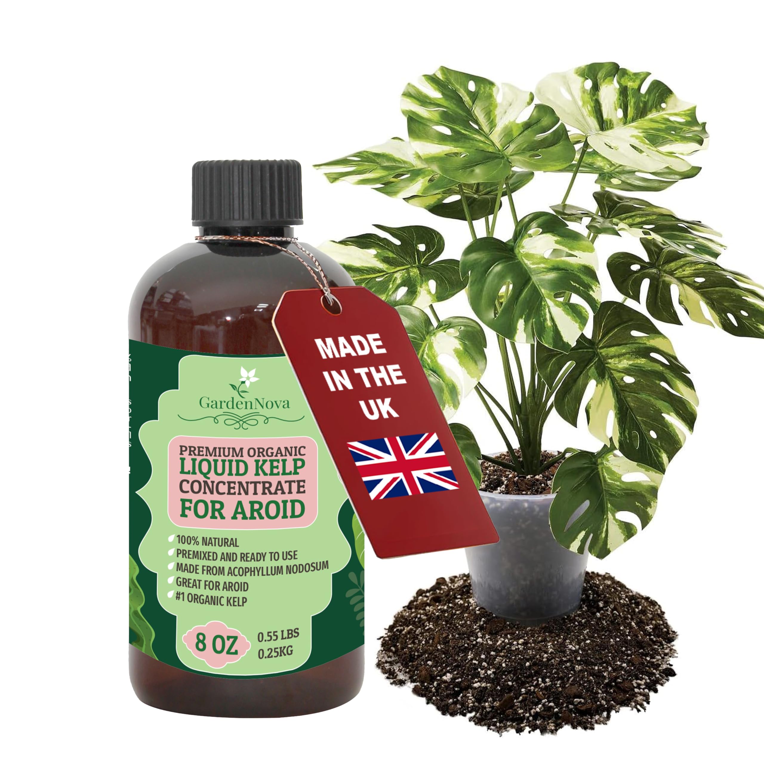 GARDENNOVA Premium Organic Seaweed & Kelp Superfood for AROID Plants - 8 oz - Liquid Kelp Fertilizer Concentrate (Makes 25 Litres)