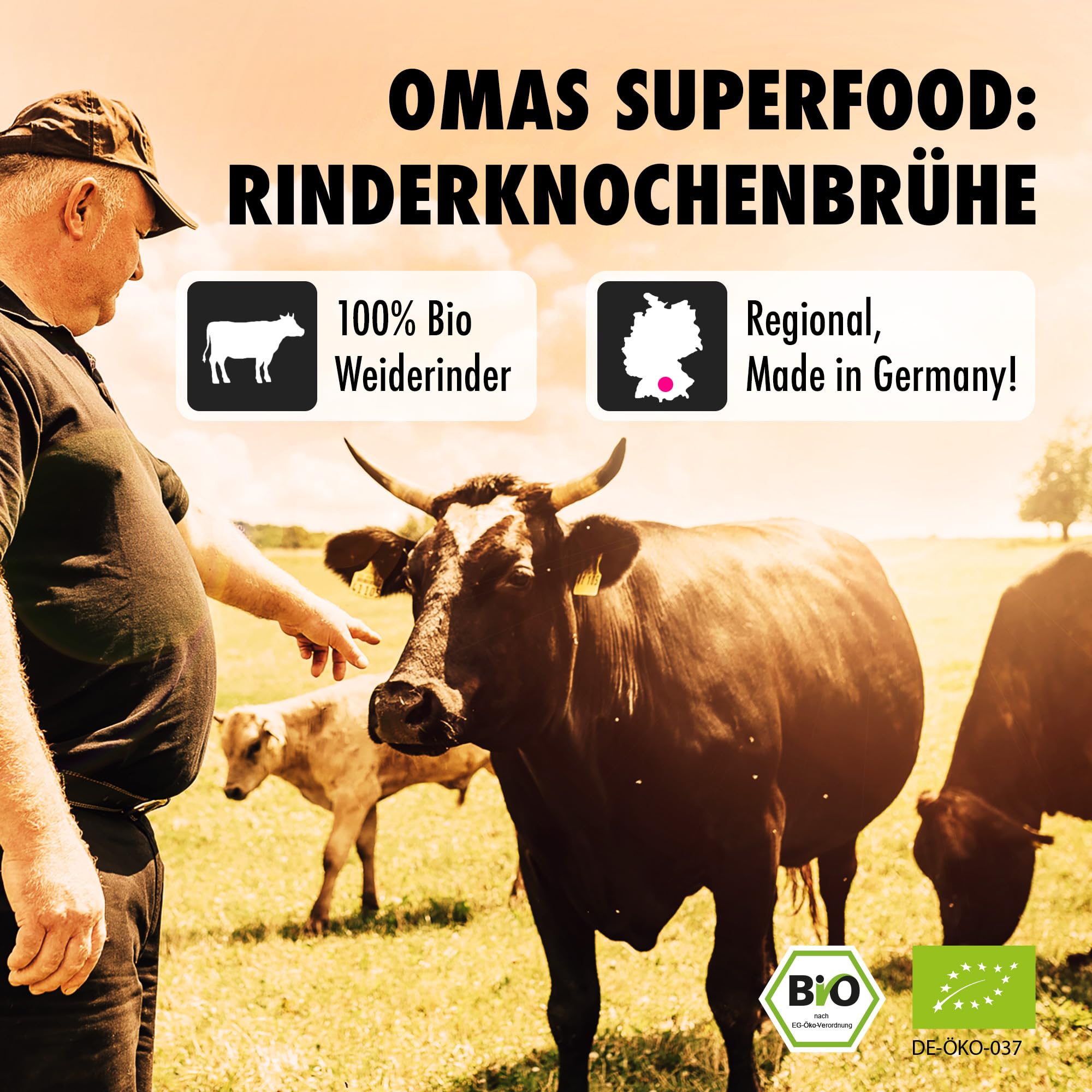 BROX Knochenbrühe Rind Bio 6x370ml – 24 Std. gekocht – Kollagen & Aminosäuren – Rinderbrühe aus Weidehaltung