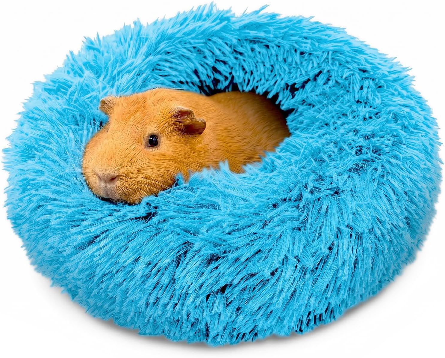 Paw Inspired Furr-O Burrowing Pet Bed Enrichment, Removable Base, Blue